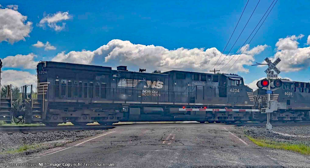 NS 4204